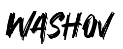 Washov - logo